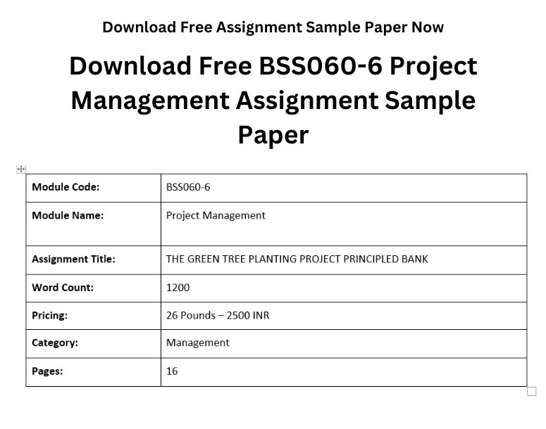BSS060-6 Project Management Assignment Sample Paper